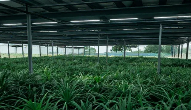 品牌宣传片制作如何在不同场景中有效维护